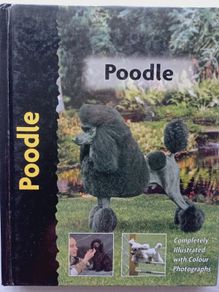 Poodle