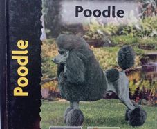 Poodle