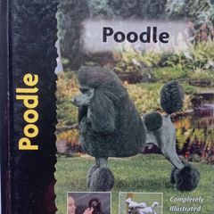 Poodle