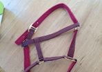 Head Collar for Pony