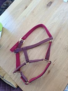 Head Collar for Pony