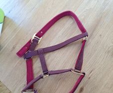 Head Collar for Pony