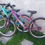 bikes Image 4