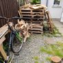 Free Wooden Pallets Image 2