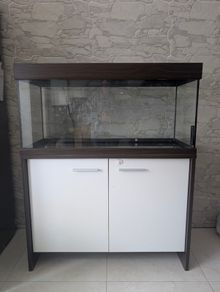 Aquarium