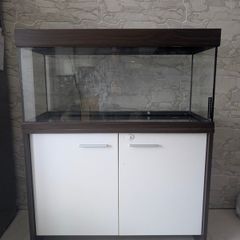 Aquarium