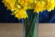Glass Vase