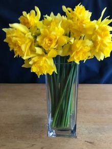 Glass Vase