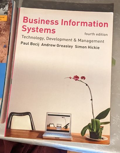 Business information systems book