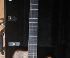 Carvin HH1 Allan Holdsworth signature model guitar