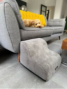Dog Stairs/Step like new