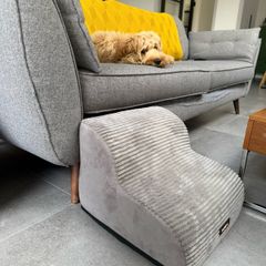 Dog Stairs/Step like new