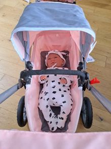Twin Dolls Pram