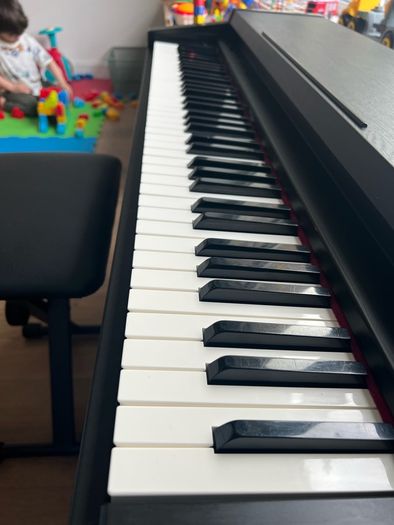 Roland Digital Piano HP900