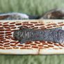 Vintage Camping Knife Image 4