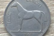 Irish Mule Half Crown