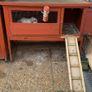 Large rabbit hutch for sale 50 euro paid 150 for it new Image 4