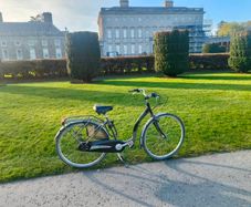Viking Step Easy Dutch-Style City Bike