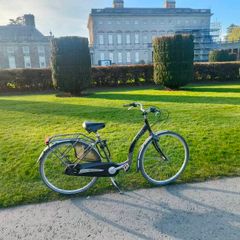 Viking Step Easy Dutch-Style City Bike