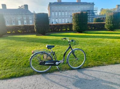 Viking Step Easy Dutch-Style City Bike