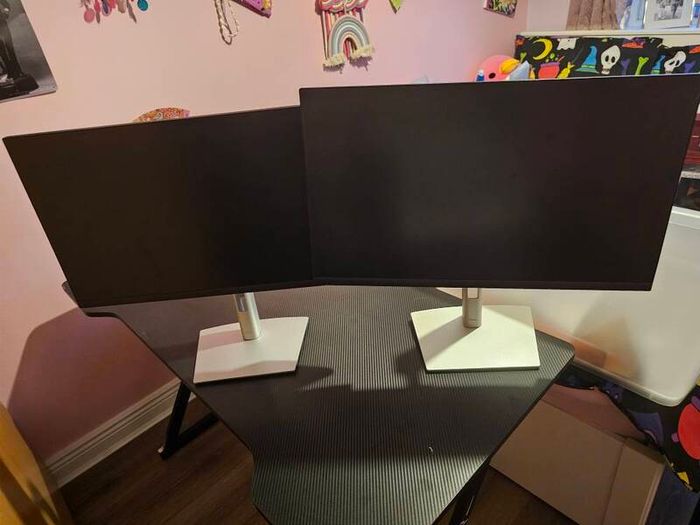 Display Monitor