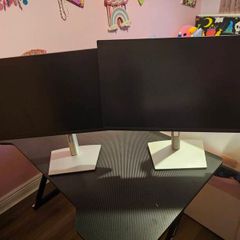 Display Monitor