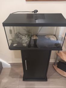 fish tank