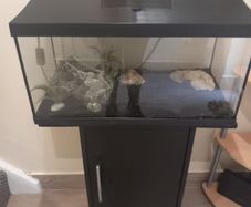 fish tank