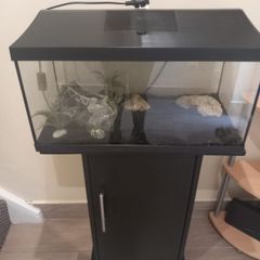 fish tank