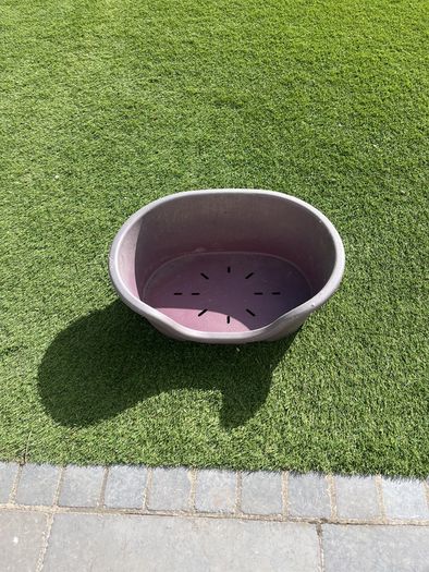 dog bed