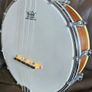 Ashbury Banjolele with bag. Image 3