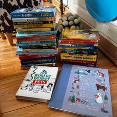 books and teddies