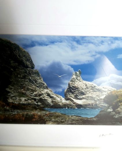 Irelands Eye photo
