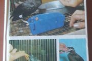 Handfeeding Baby Birds by Jo Cooper (P+P incl)