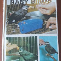 Handfeeding Baby Birds by Jo Cooper (P+P incl)