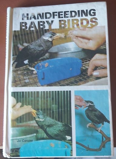 Handfeeding Baby Birds by Jo Cooper (P+P incl)