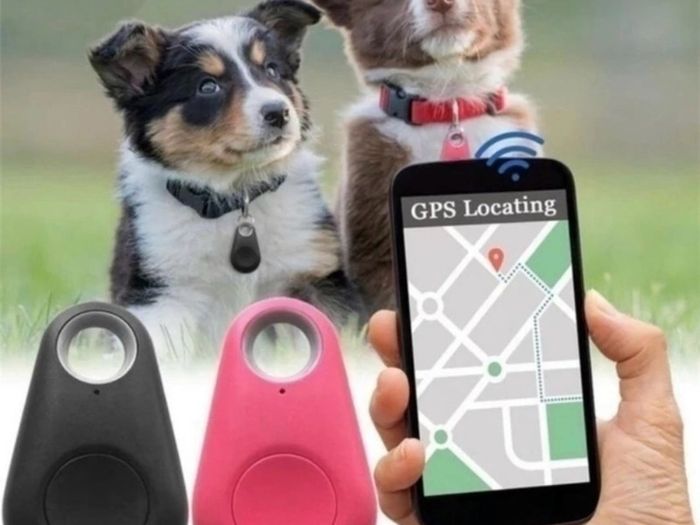 Trybe Gps Tracker Tag