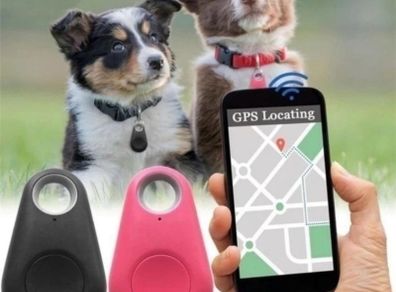 Trybe Gps Tracker Tag