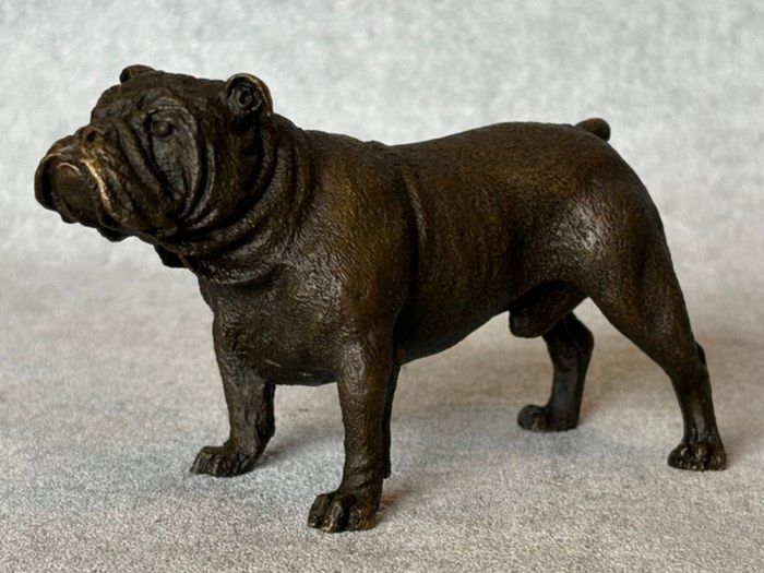 Bulldog - Cold Painted Bronze, Signed