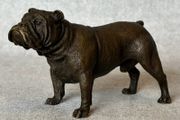 Bulldog - Cold Painted Bronze, Signed
