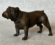 Bulldog - Cold Painted Bronze, Signed