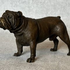 Bulldog - Cold Painted Bronze, Signed