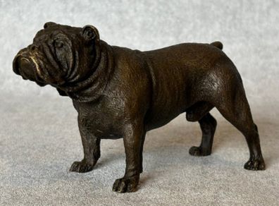 Bulldog - Cold Painted Bronze, Signed