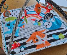 Fisher price baby play mat