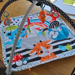 Fisher price baby play mat