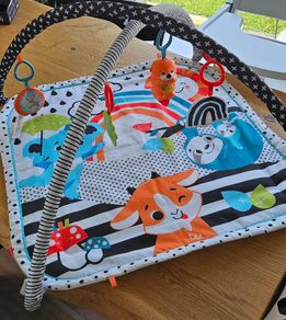 Fisher price baby play mat