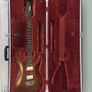 Ibanez Prestige RGA121 with Seymour Duncan Nazgul & Sentient Pickups Image 3