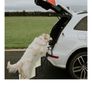 Premium dog stairs Image 2