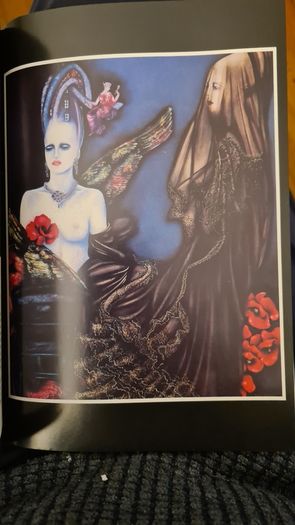 Musil'uomo By Senza Qualita. Grazia Lodeserto. Large Paperback With Beautiful Illustrated Art Pictures. See Photos. 32.