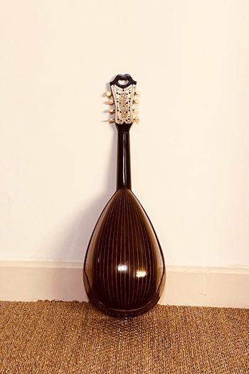Restored 1898 Alfonso Abatte Mandolin Bowlback